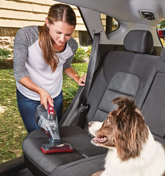 woman using dustbuster vacuum in a car near a dog