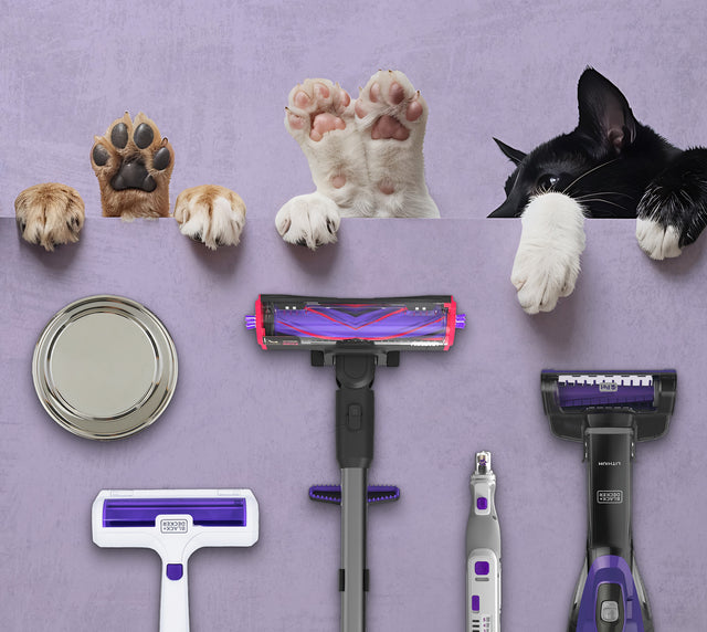 Various pet paws and BLACK+DECKER pet products on a purple background